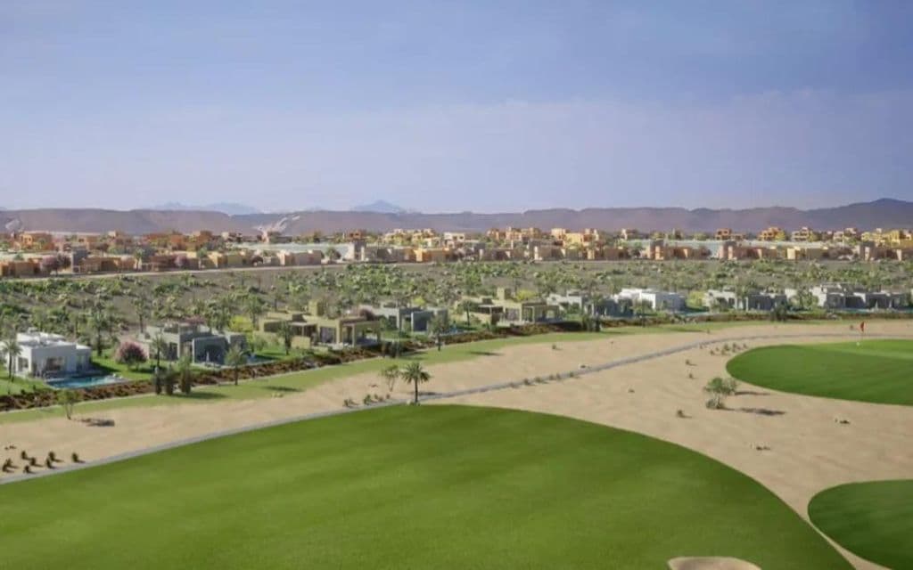  ذا ناينز 